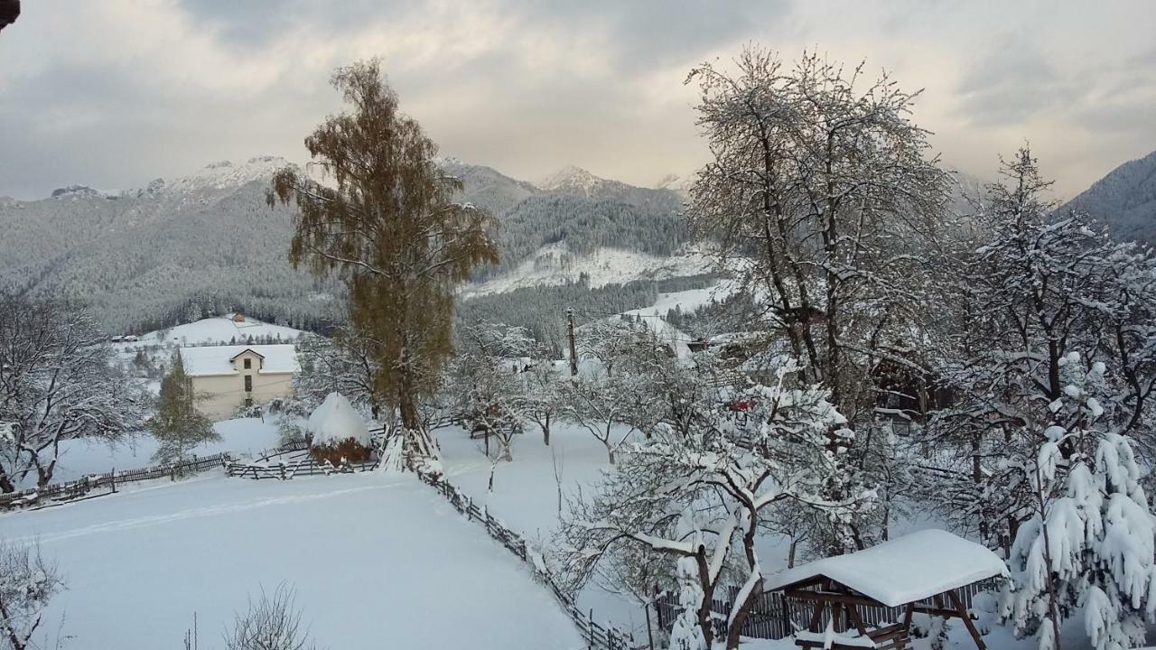 Cabana Festung Bran  Exteriér fotografie